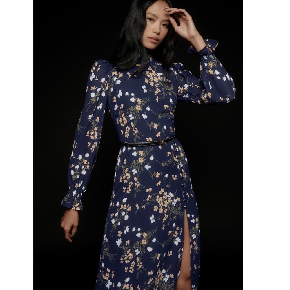 NWT Size 4 Reformation Stevi Dress Gemini